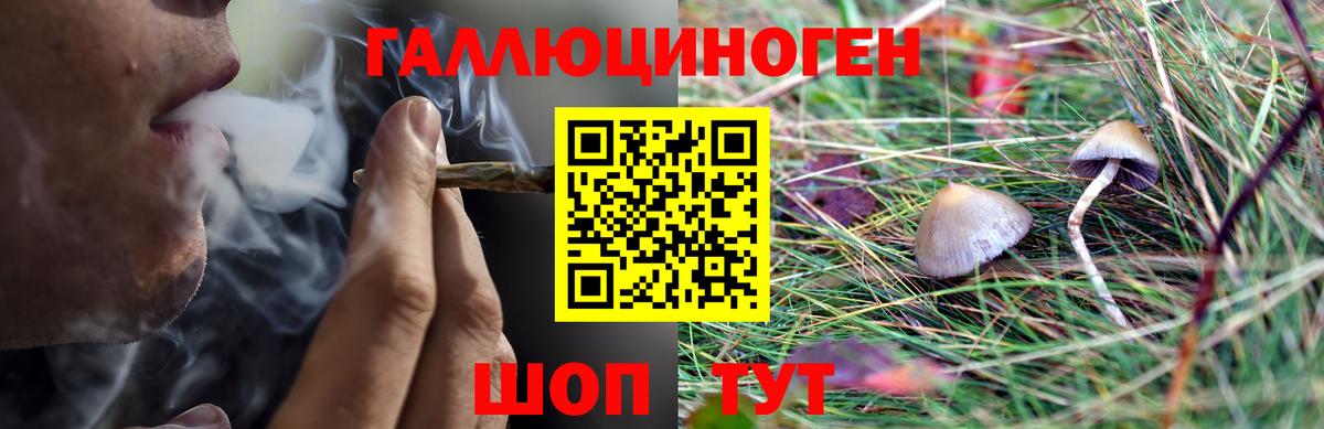 где купить наркоту  Вход с VPN  Златоуст  Галлюциногенные грибы GOLDEN TEACHER 